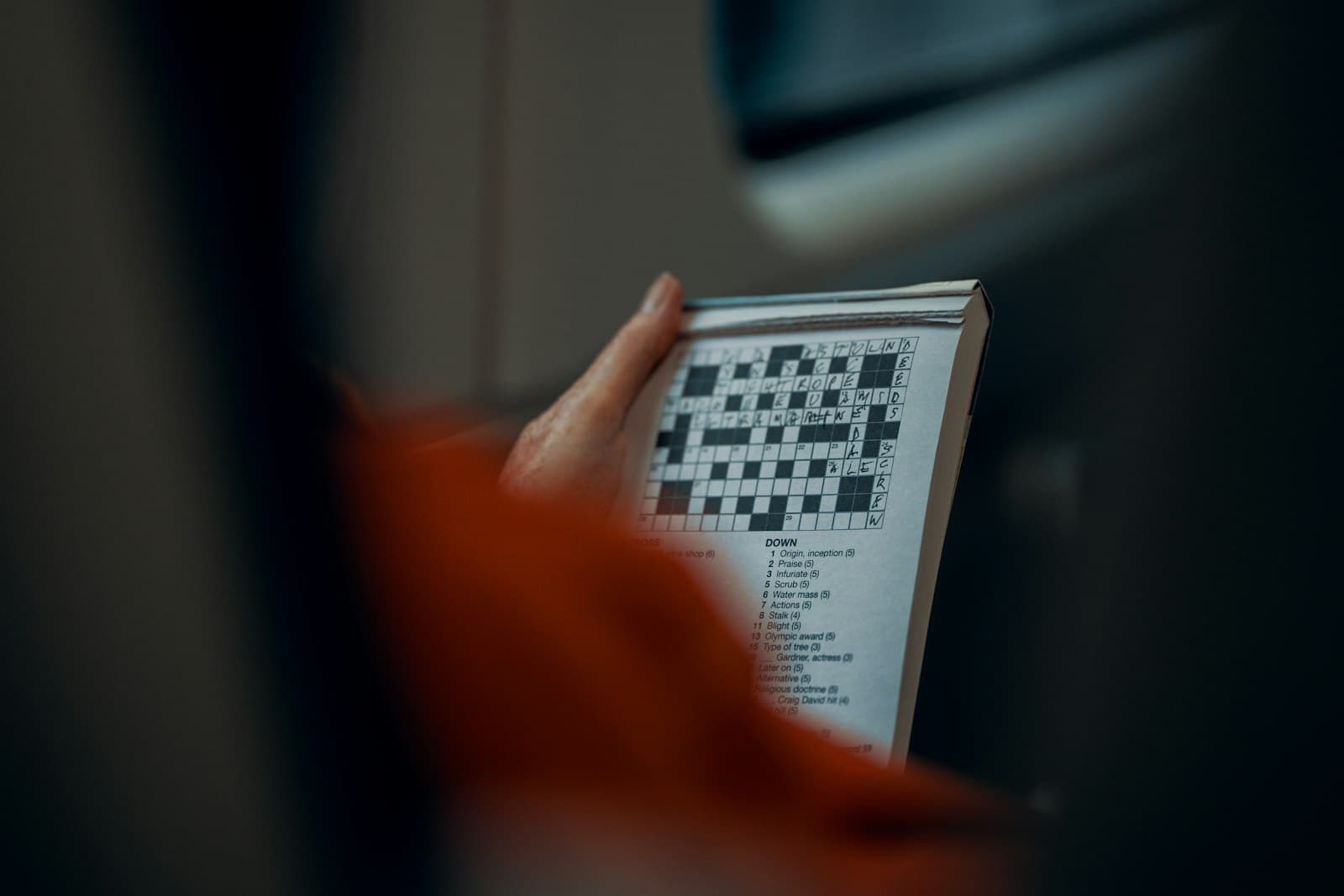 Do a crossword puzzle