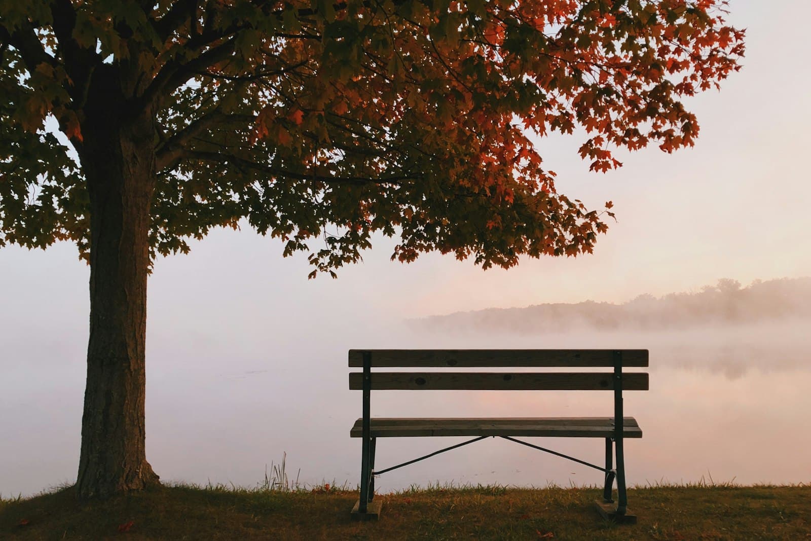 Sit outside and just listen for ten minutes