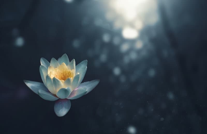 Try sound bath meditation