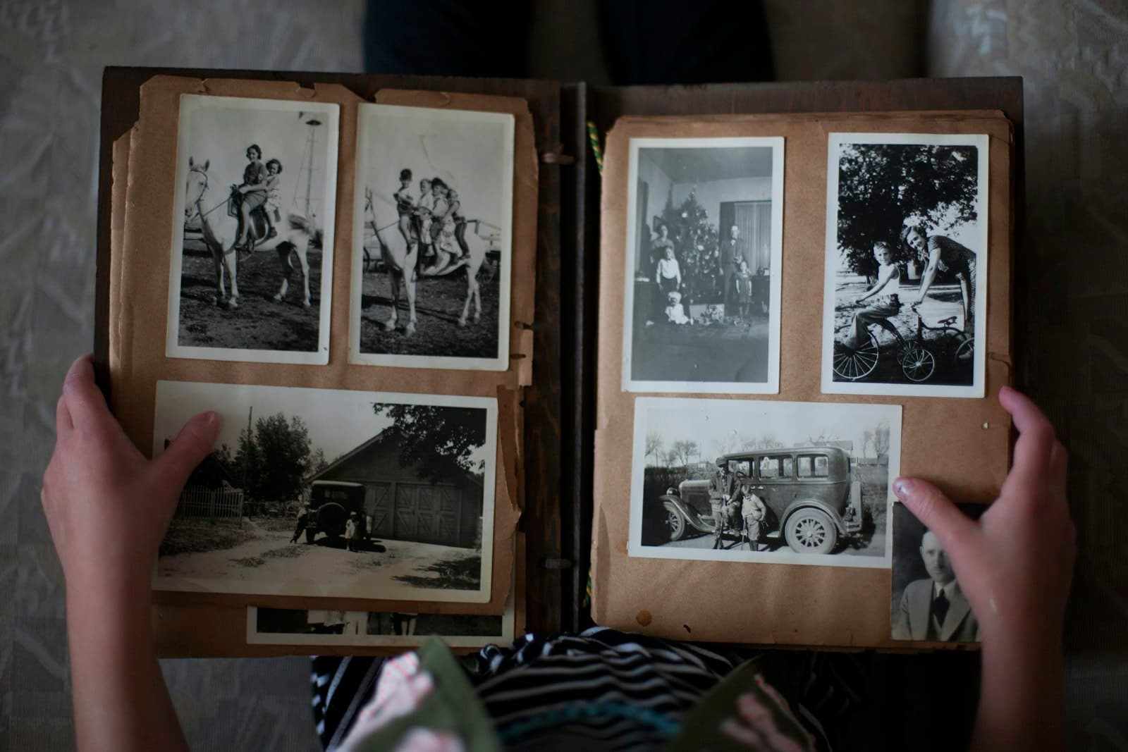 Explore your family tree online