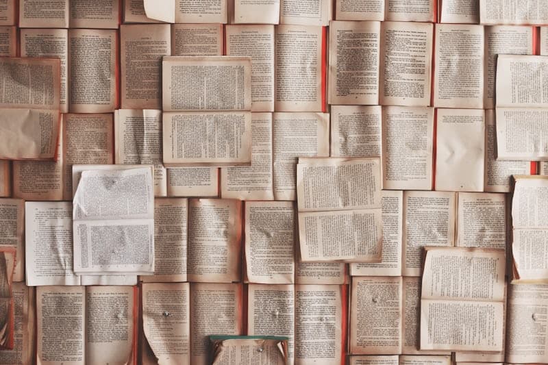 Learn basic phrases in a new language