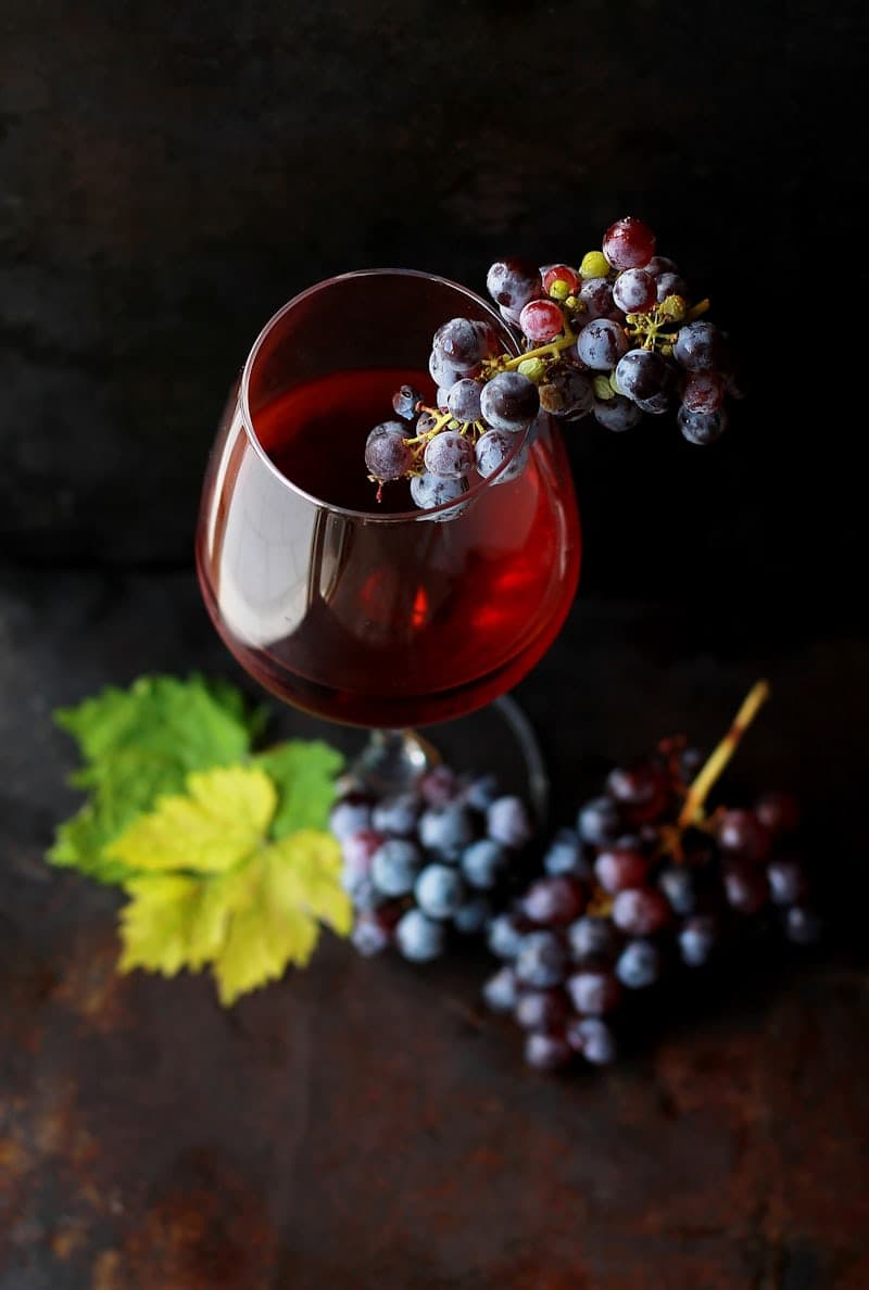 Learn proper wine tasting techniques