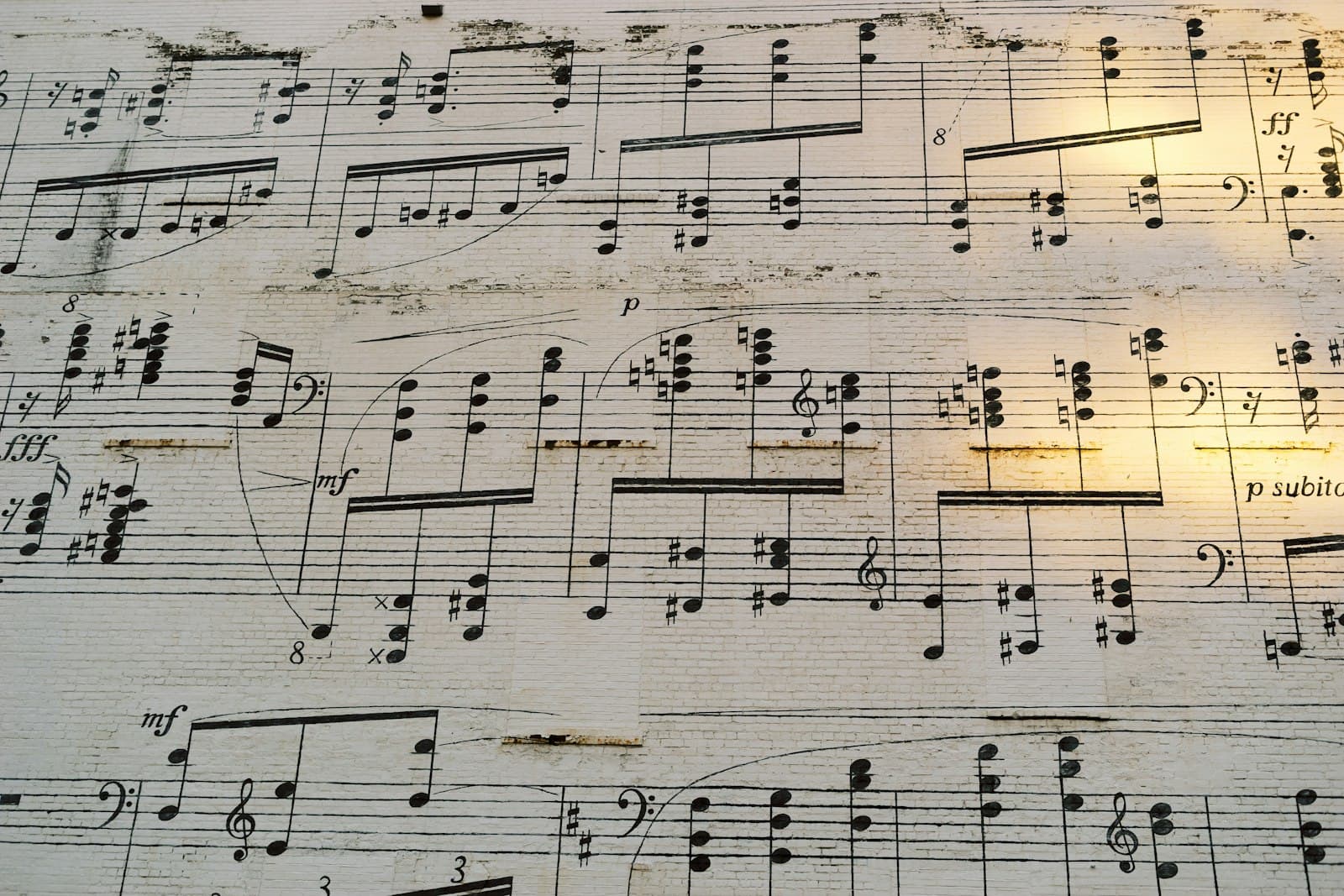 Learn to read basic music notation