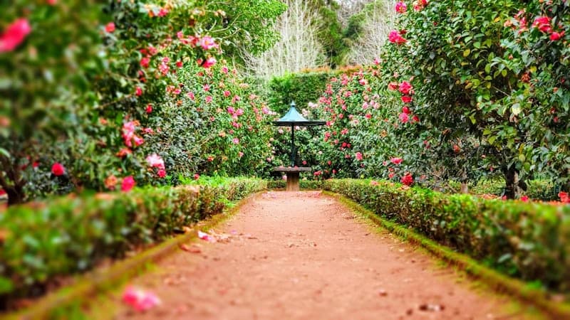 Visit a botanical garden